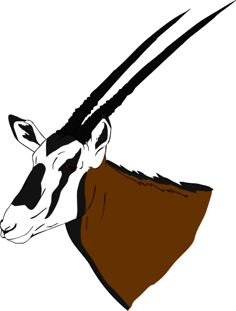 Beisa Oryx By Tha-baist - East African Oryx (779x1026)