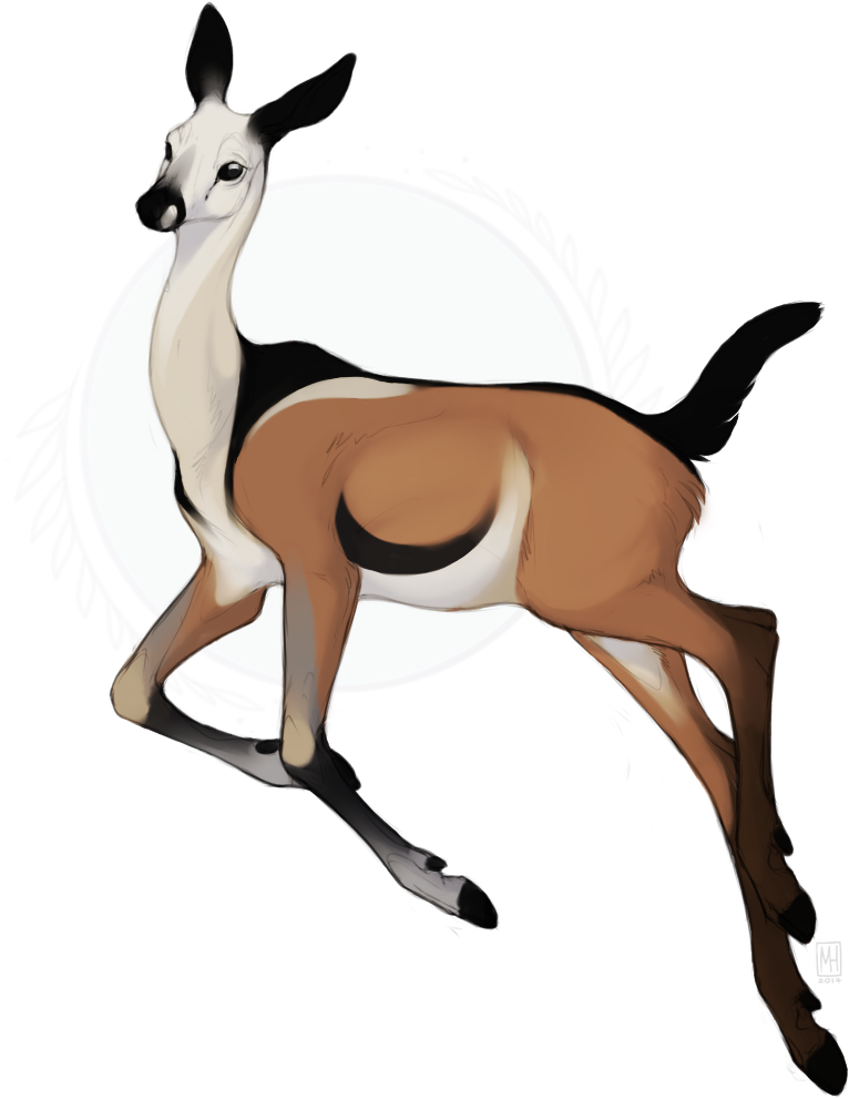 Art Featured In Layout By Tzvii And Mariahimmel (bottom - Thomson's Gazelle (902x1060)