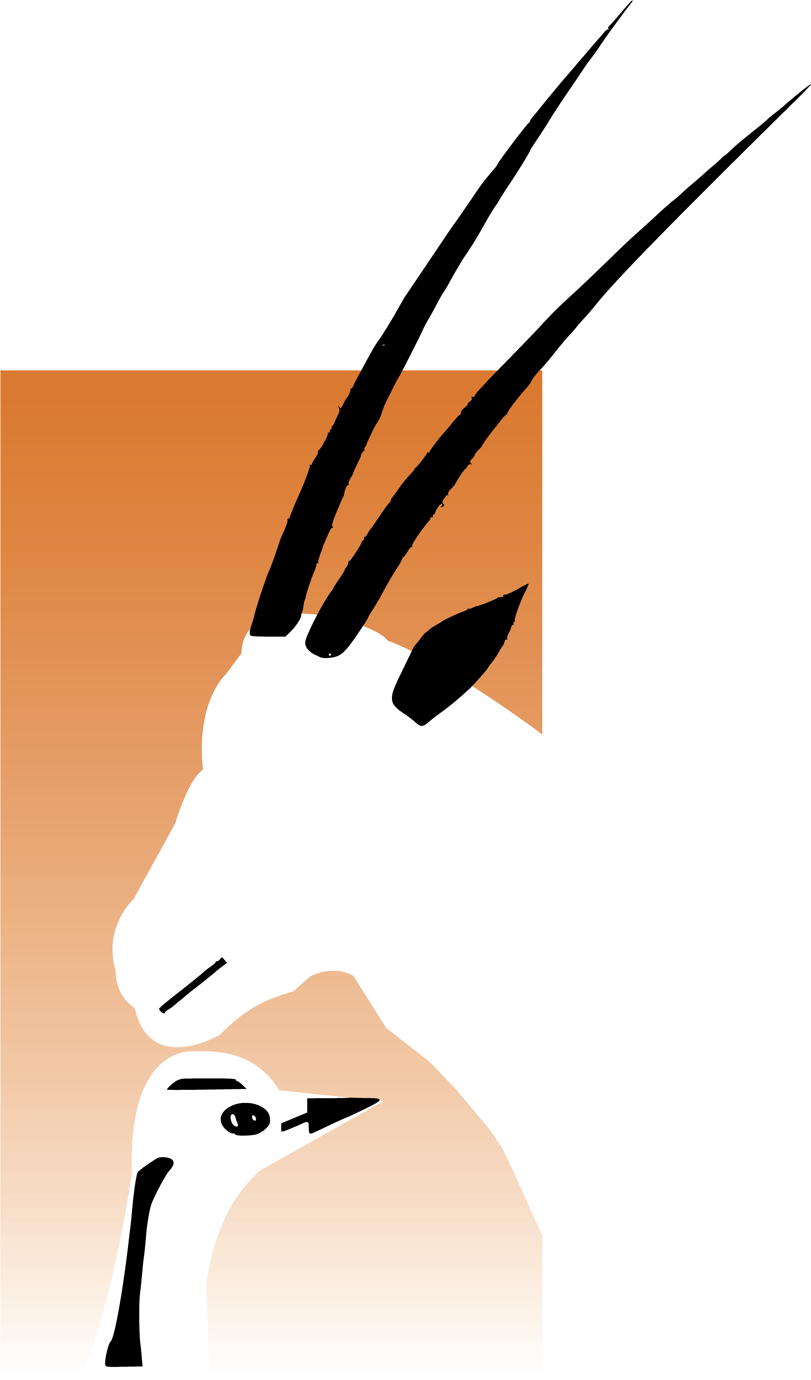 Al Bustan Zoological Centre Advancing Conservation - Al Bustan Zoological Centre (5000x5000)