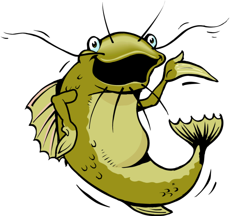 Pin Catfish Clipart - Catfish Cartoon Png (800x752)
