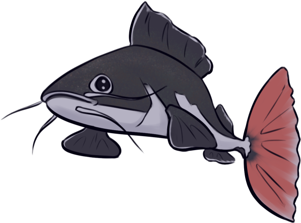 Meow - Cat Fish (654x510)