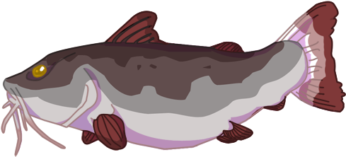 Red Tailed Catfish By Omfgitsbutter - Comics (576x320)