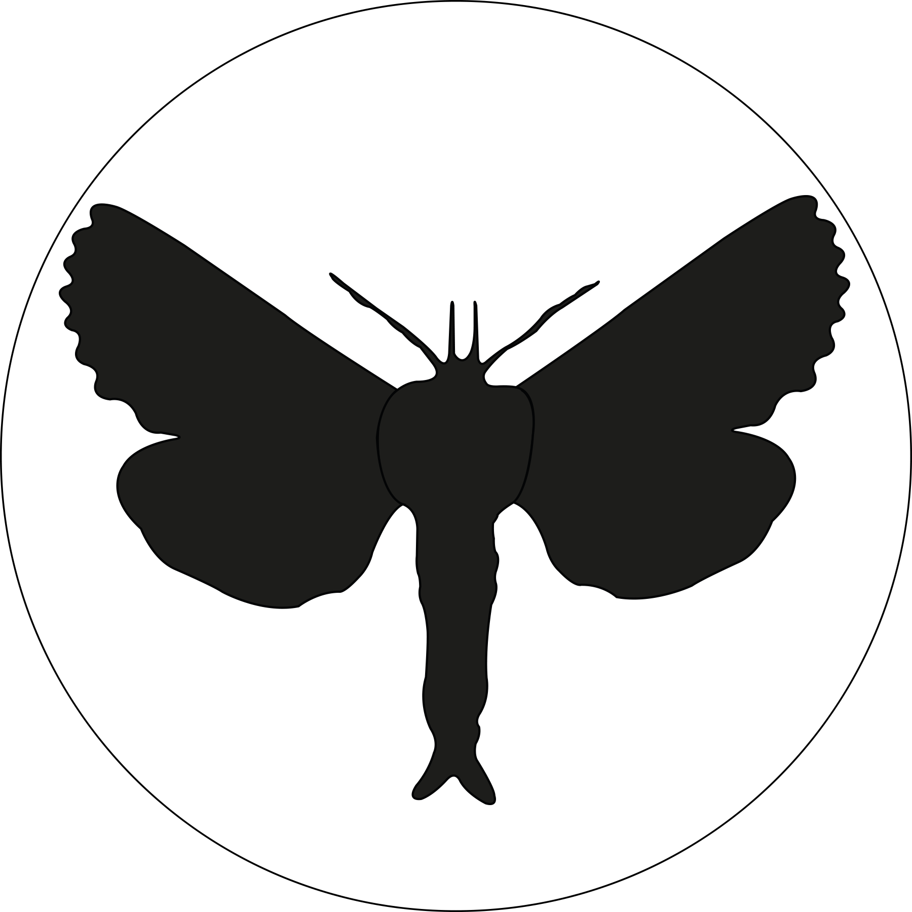 Pterostoma Palpina - Harlem (manovski Edit) (1800x1800)