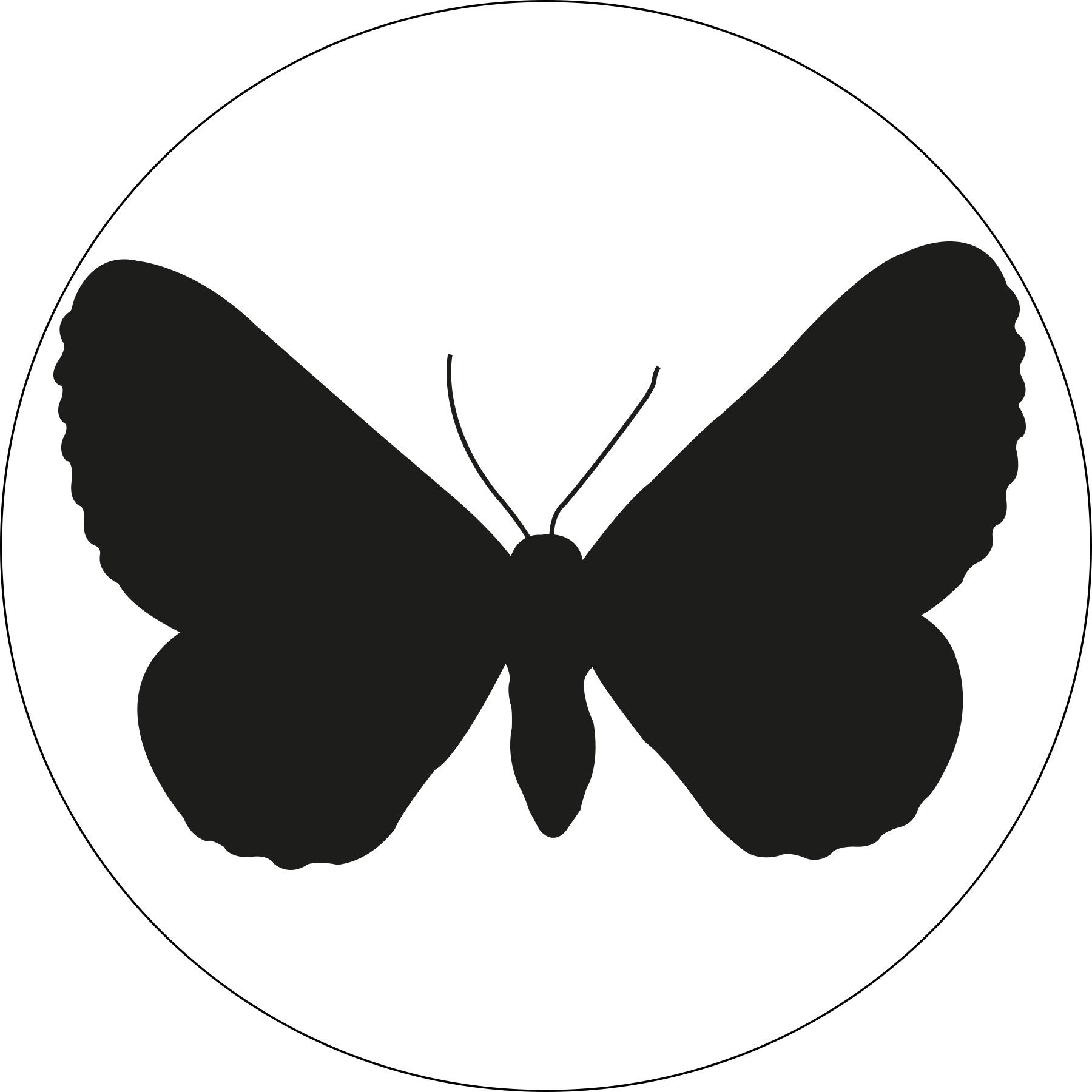 Gagitodes Sagittata - Butterfly (1800x1800)