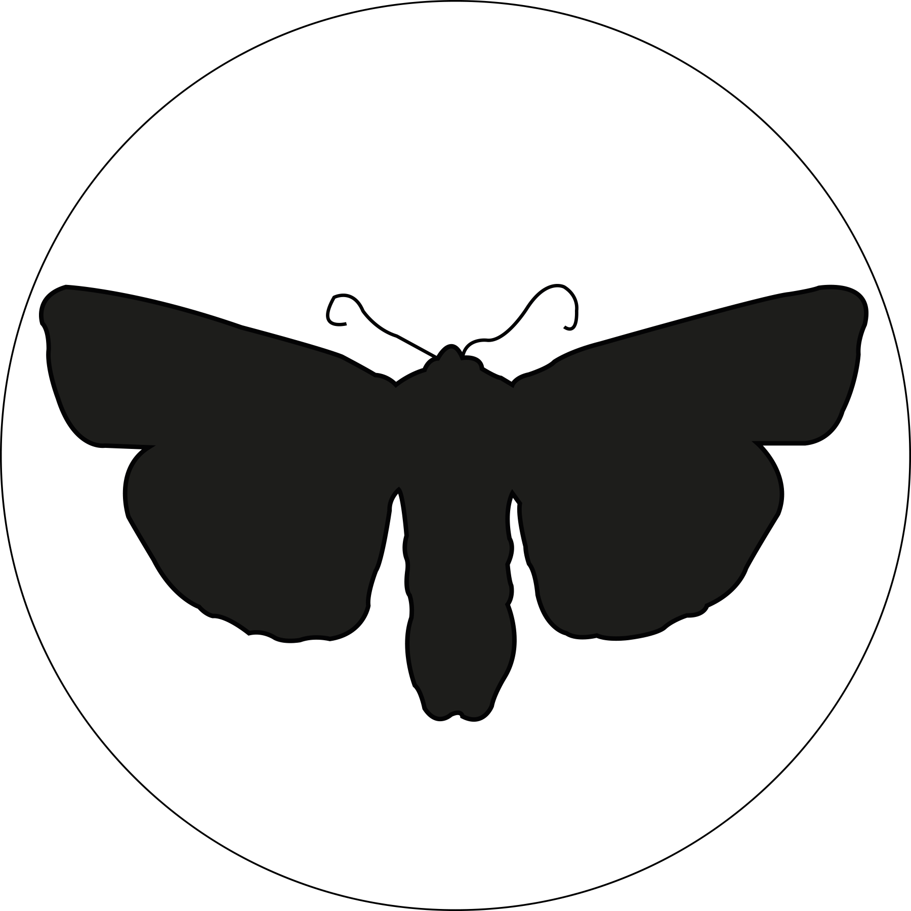 Noctua Fimbriata - Brush-footed Butterfly (1800x1800)