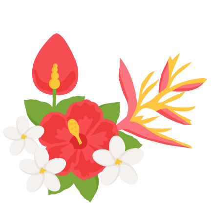 Clipart Tropical Flowers - Tropical Flower Clip Art (432x432)