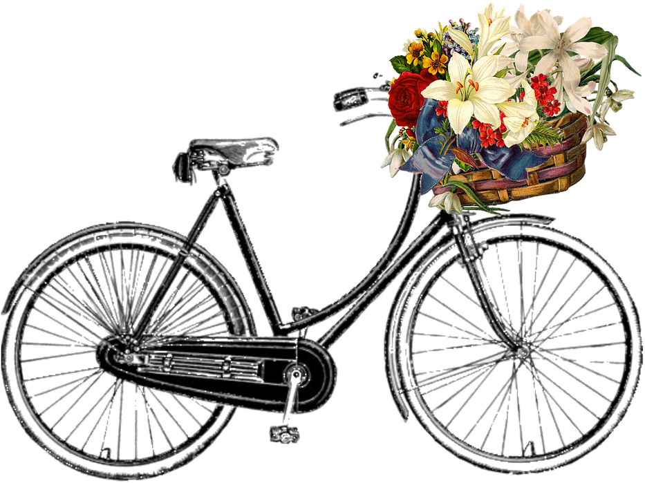 Collection Of Image Of Bicycle - Vintage Bicycle Transparent Background (960x713)