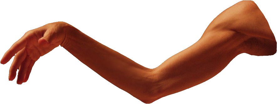 Arm Clip Art - Arm Transparent Png (900x339)