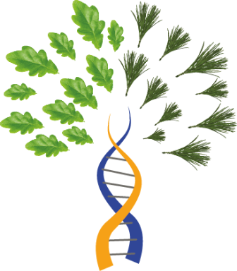 This Conference Will Bring Together Researchers From - This Conference Will Bring Together Researchers From (336x384)