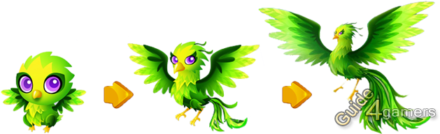Fantasy Forest Story Peridot Phoenix - Fantasy Forest Story Birds (650x200)