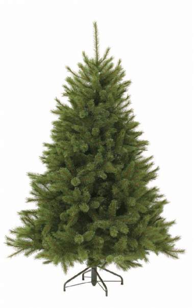 Triumph Tree Forest Frosted Pine - Christmas Tree Without Lights (800x600)
