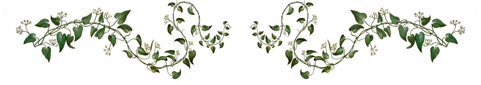 I Hope You Enjoy And Thank You For Reading - Textile (2000x357)