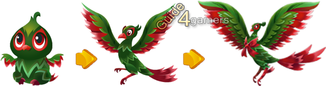 Fantasy Forest Story Present Pheasant Growth - Cartoon (650x190)