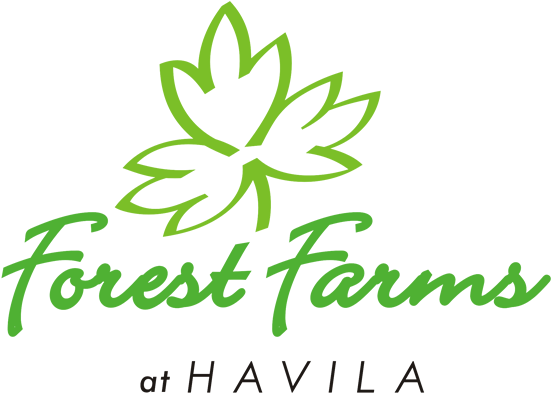 Overview - Fabulous Sequins Yarn-island Orchids (600x442)