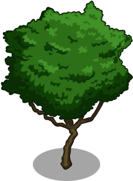 Guava Tree1-icon - Guava (300x400)