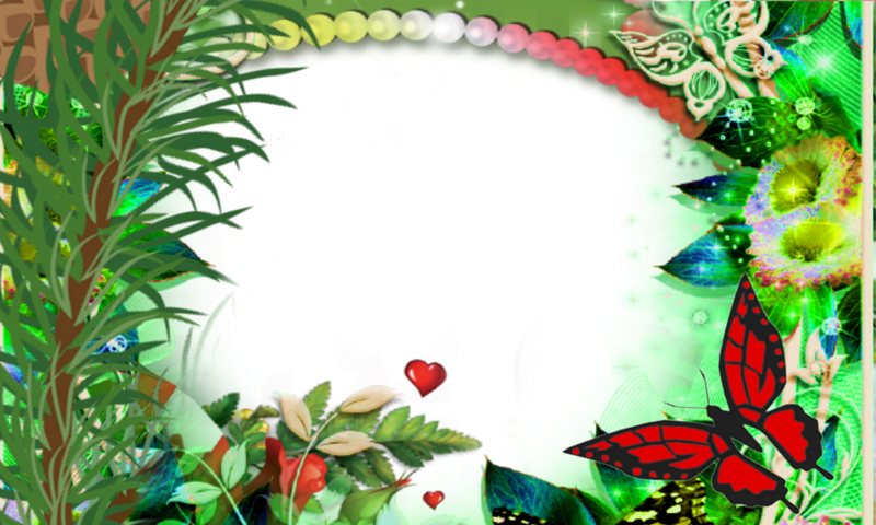 Gift Photo Flower Frames - Beautiful Green Flower Frames (800x480)