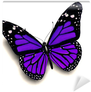 Butterfly Tattoo Purple (400x400)