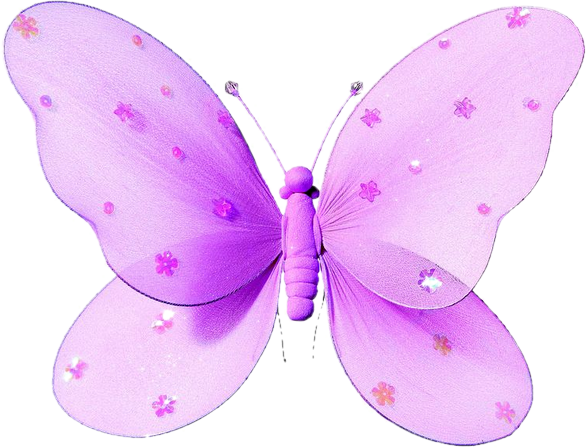 Katheryn Sequined Hanging Butterfly 3d Wall Decor - Mariposas Con Medias De Nylon (586x448)