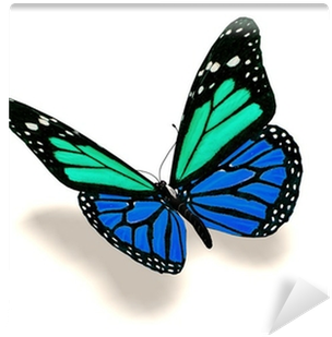Blue And Black Butterfly (400x400)