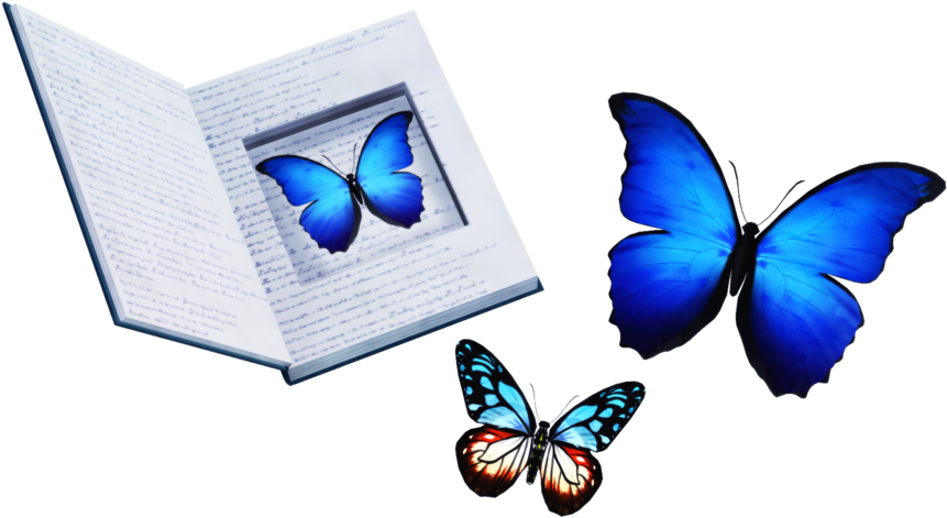 Butterflies Dl By Goblinzeppelin - Mmd Butterfly Dl (1024x512)