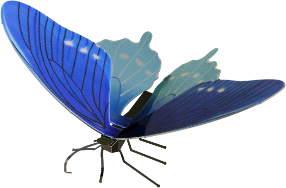 Metal Earth Butterflies - Pipevine Swallowtail (600x600)