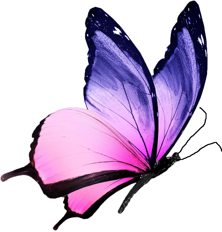 A Path From Grief To Peace - Pink And Purple Butterfly (830x888)