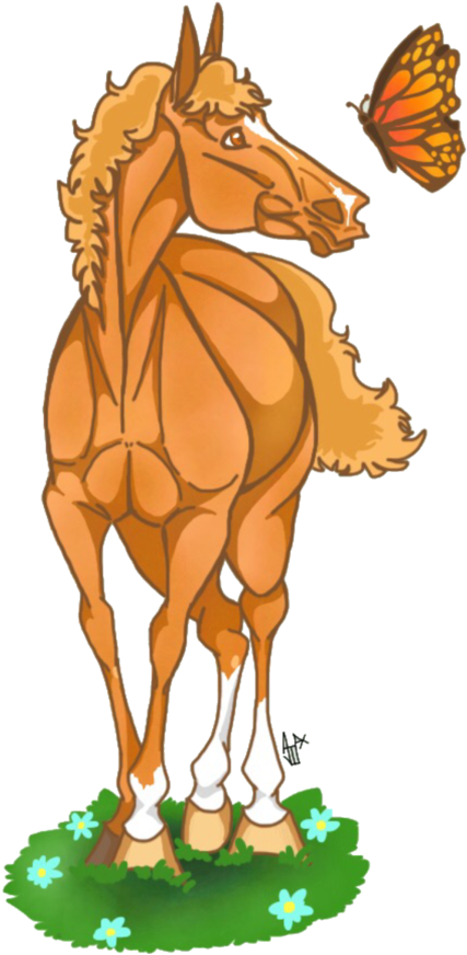 Butterfly Transparent Background By Ajjjax - Sorrel (774x1032)