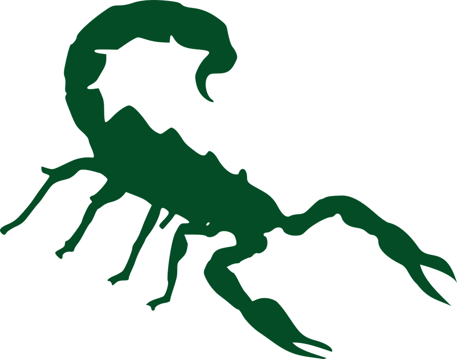 Scorpio Clipart Svg - Scorpion Silhouette No Background (1920x1508)