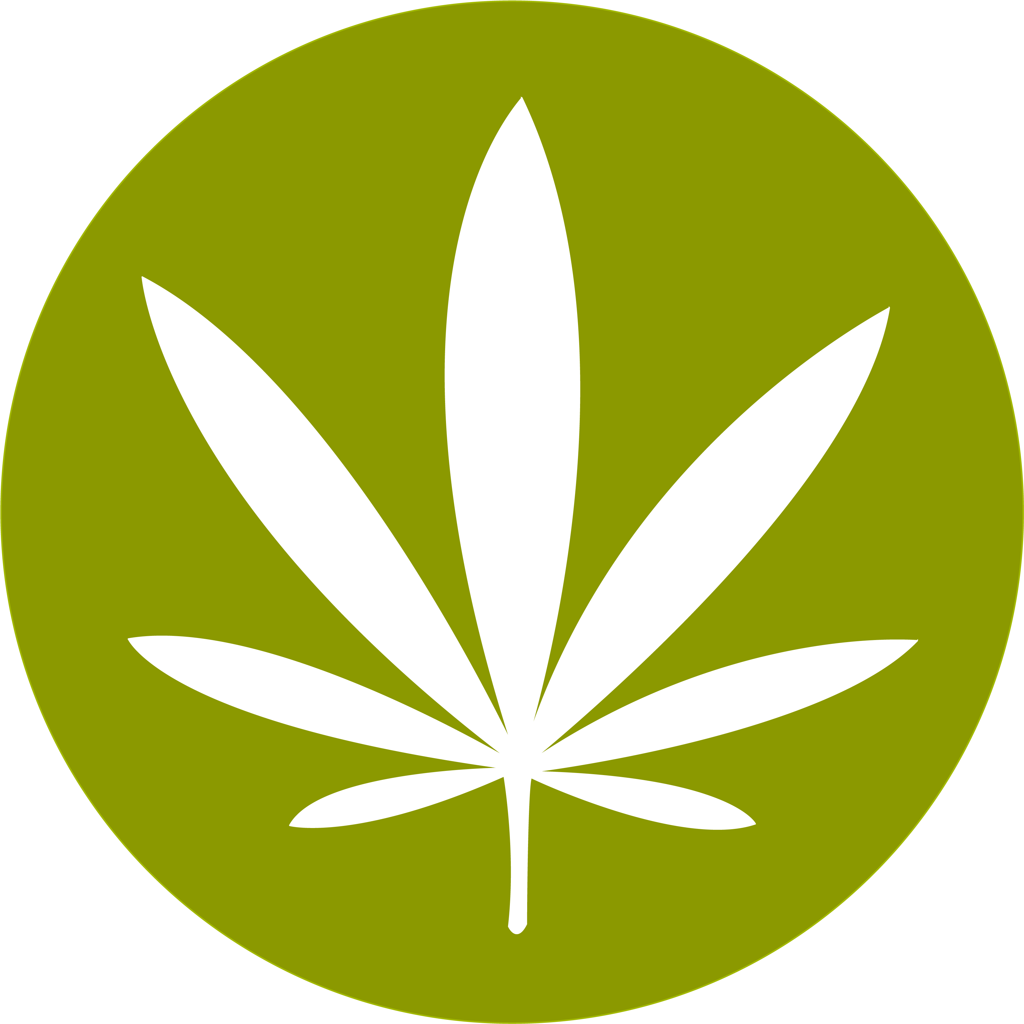 Leaf Outline Weed Stencil - Cannabis Logo Png (3508x3508)