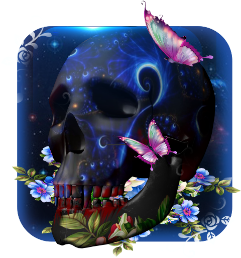 3d Galaxy Skull Butterfly Theme - Android (512x512)