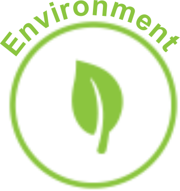 An Icon For Environment - Rio Earth Summit 1992 (362x385)