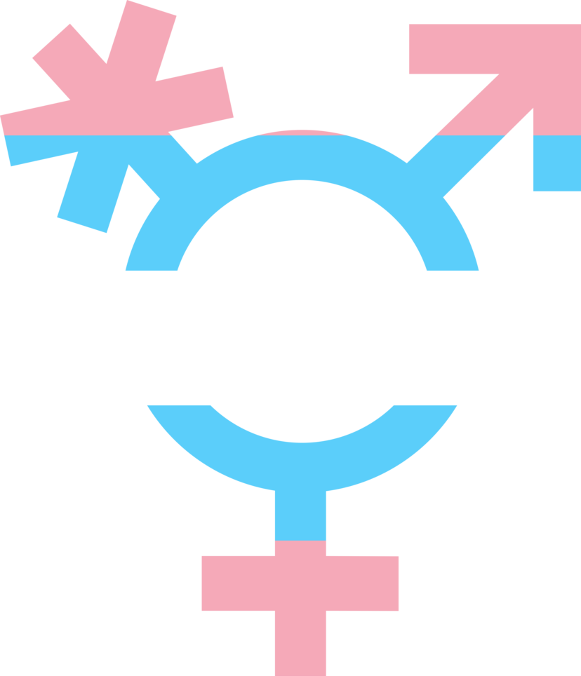 Transgender Symbol By Pride-flags - Transgender Symbol (828x964)