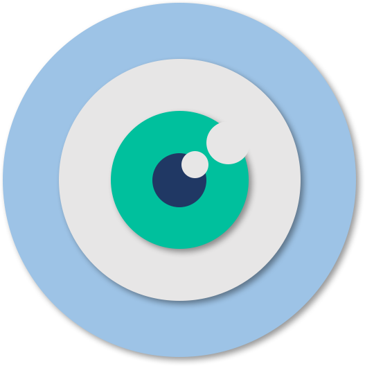 Vision - Primary Care Physician (527x528)