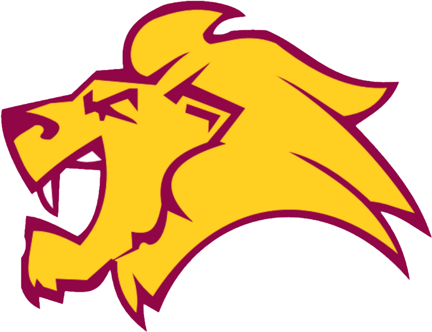 Top Receiver Gm - Nunawading Lions Logo (958x728)