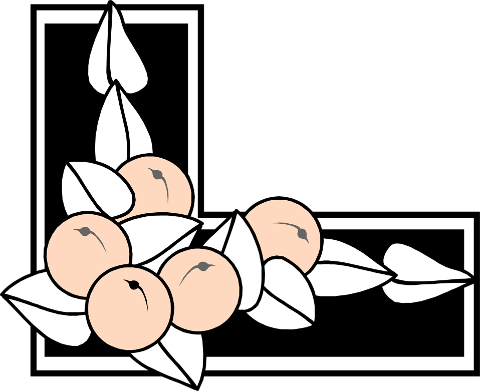 Illustration Of A Lower Left Frame Border With Berries - Illustration (958x781)