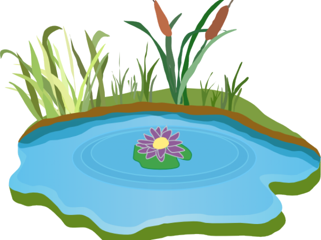Lake Clipart Lily Pad Pond - Life Is Better At The Lake Mugs (640x480)