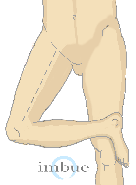 These Muscles - Laying Down Crossed Leg (601x759)