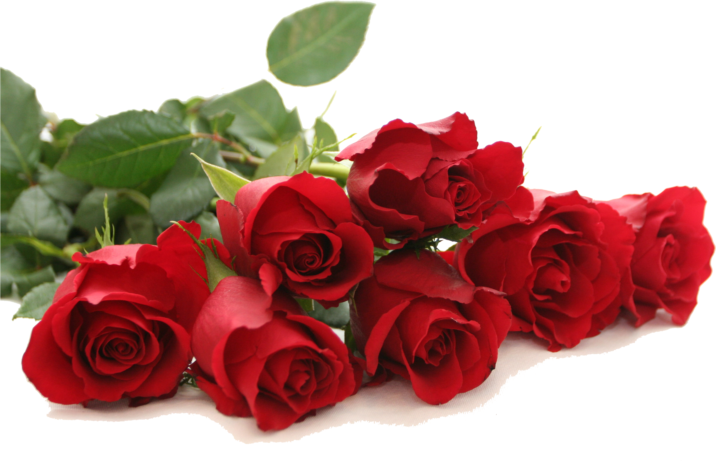 Image - Red Roses Good Morning (2560x1600)