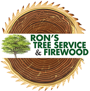 Eco Eco Eco - Ron's Tree Service And Firewood (360x360)