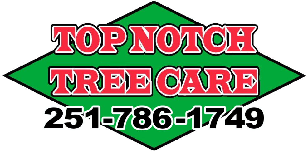 Top Notch Tree Care - Top Notch Tree Care (1000x511)