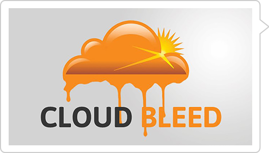 Serious Cloudflare Bug Exposed Customer Data - Cloudflare (528x300)