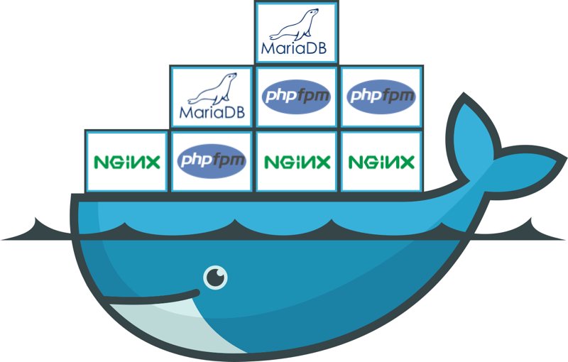 Wordpress Specialized Hosting With Docker - Transparent Docker (800x510)