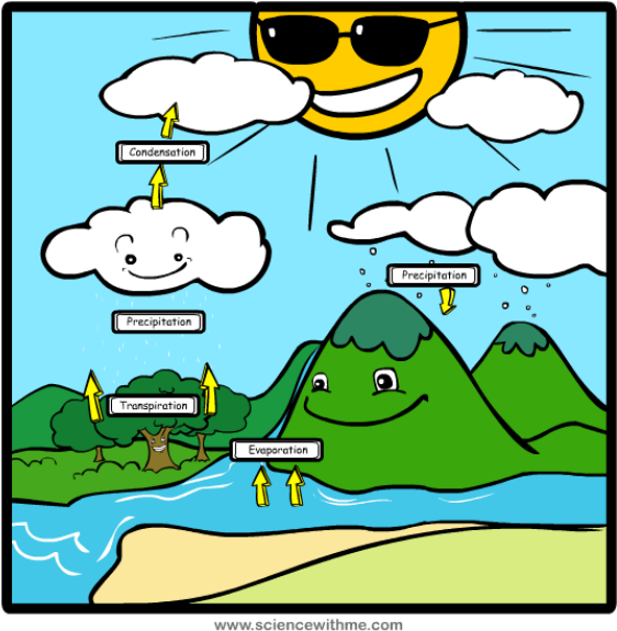 Picture - Water Cycle For 3rd Grade (584x584)