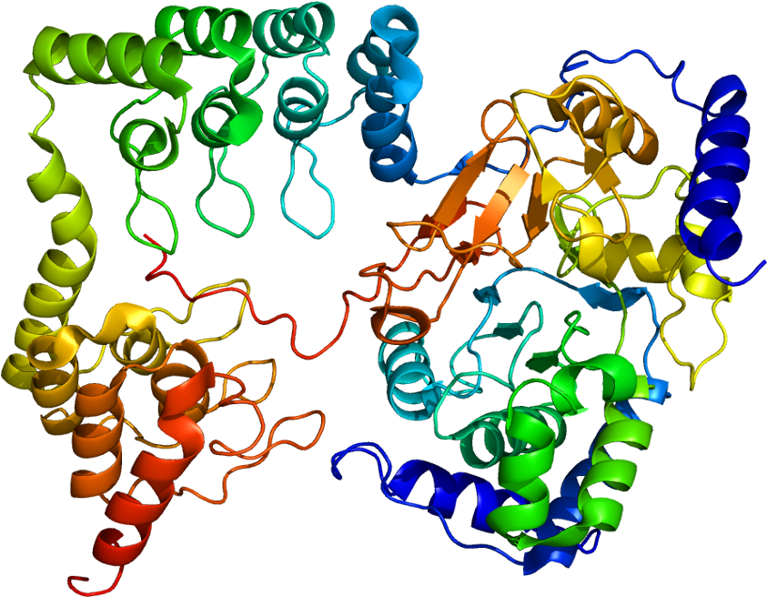 Myosin Phosphatase Rho Interacting Protein (892x705)