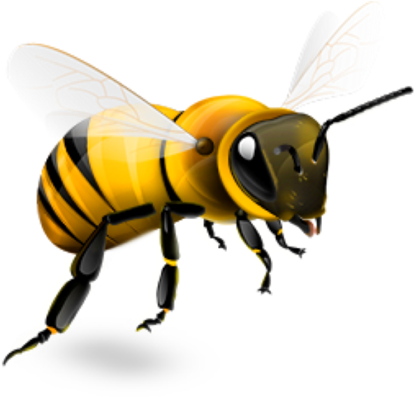 Honey Bee Png (600x600)