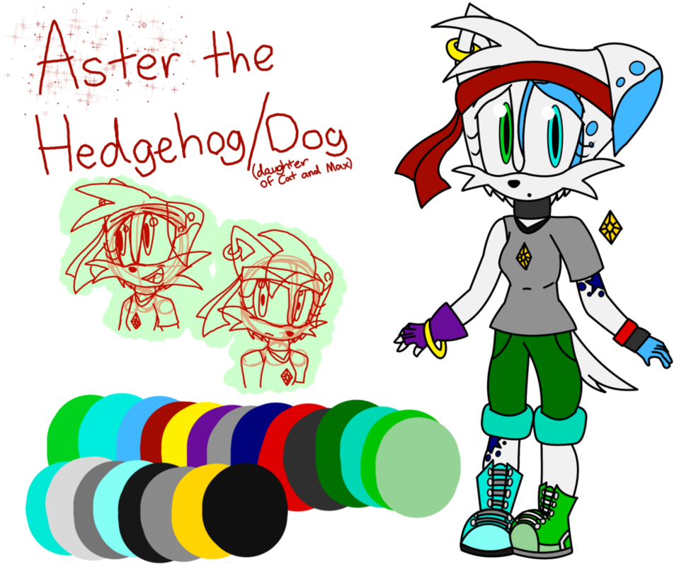 Aster The Hedgehog/dog By Cathedgehog - Hedgehog (977x818)