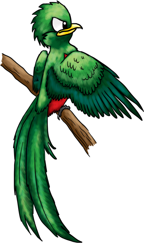 Quetzal Bird Flying - Drawing (786x1017)