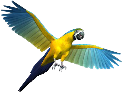 Parrot Bird Cockatiel Budgerigar Toy - Wooden Bird Swing Bird Toy Cage Toys (550x550)