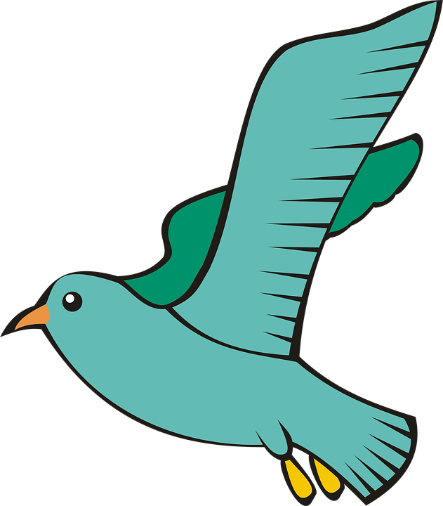 Bird, Pigeon, Flight, Sky, Green, Adobe - Domestic Pigeon (657x750)