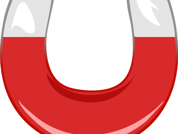 Magnetism Clipart Teacher - Magnetism Word (600x450)